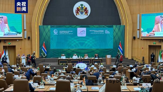 冈比亚举办第15届伊斯兰合作组织首脑会议