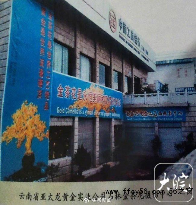 价值上亿的金茶花在银行离奇失踪 法院执行迷雾待解