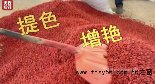 硫超标枸杞加工现场:被熏到泪流不止