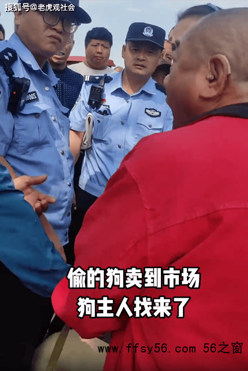 主人在市场上找到被偷的狗情绪激动