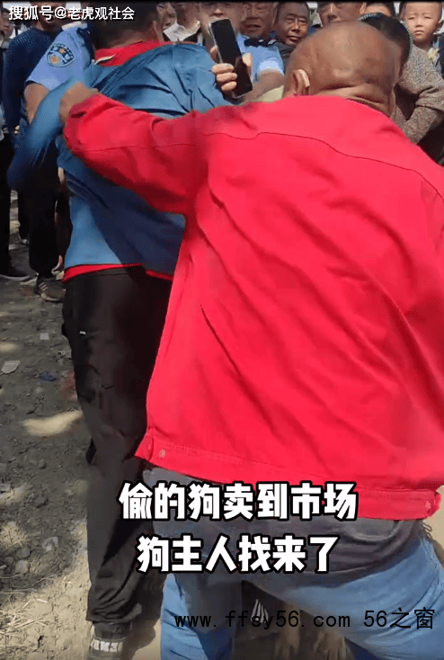 主人在市场上找到被偷的狗情绪激动 爱犬重归引热议