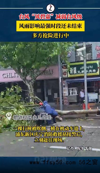 贝碧嘉离开上海进入江苏