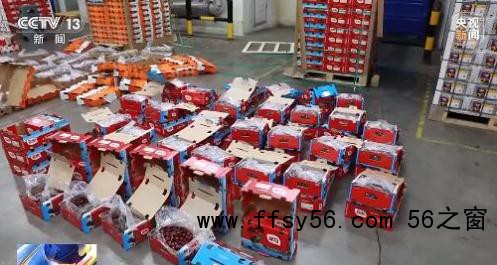 2万吨智利车厘子运抵中国