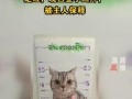 泰国猫咪袭警被捕超萌入狱照走红 具体情况是怎么样？