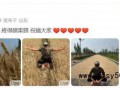 任达华回山东老家收麦子 具体情况是怎么样？