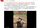 任达华在山东老家收完麦子又种玉米 具体情况是怎么样？