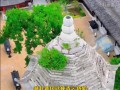 湖北一明代古塔上长了一棵朴树 具体情况是怎么样？