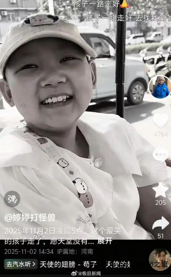 11岁抗癌博主“婷婷打怪兽”离世