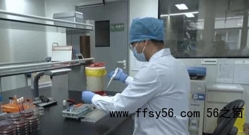 男子养五步蛇当宠物 喂食被咬致截肢