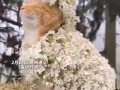猫咪配合主人打扮 乖得像假猫 万万没想到!