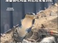 眼镜王蛇在包子铺偷吃鸡蛋被抓，店主邱先生说了什么？