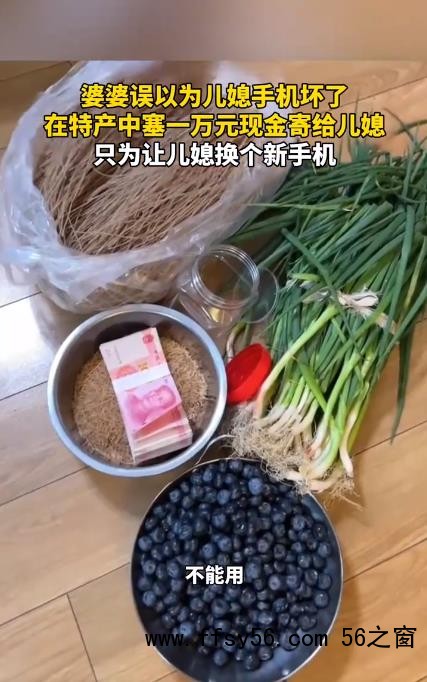 婆婆以为儿媳手机坏了 塞了一万现金