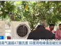 印度已经热到近50℃了 具体情况是怎么样？