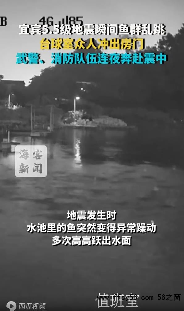 宜宾地震瞬间鱼群乱跳