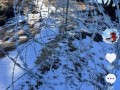 天下第一山何至于被如此“圈禁” 管理应有度【今日】