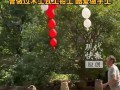 70岁爷爷给4岁孙子自制玩具走红，网友：这才是顶级定制！