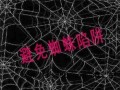 站长基础交流之警惕一些能限制蜘蛛爬行的网站陷阱