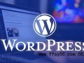 站长基础交流之外贸独立站 WordPress SEO优化的28个步骤