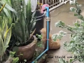 小猫喝水陶醉得像在喝玉液琼浆，猫界凡尔赛：喝个水都能喝出米其林三星的仪式感