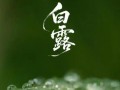 今日白露，秋风起，终于可以穿长袖啦