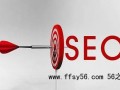 新手站长SEO:网站SEO高质量文章内容更新的10条经验