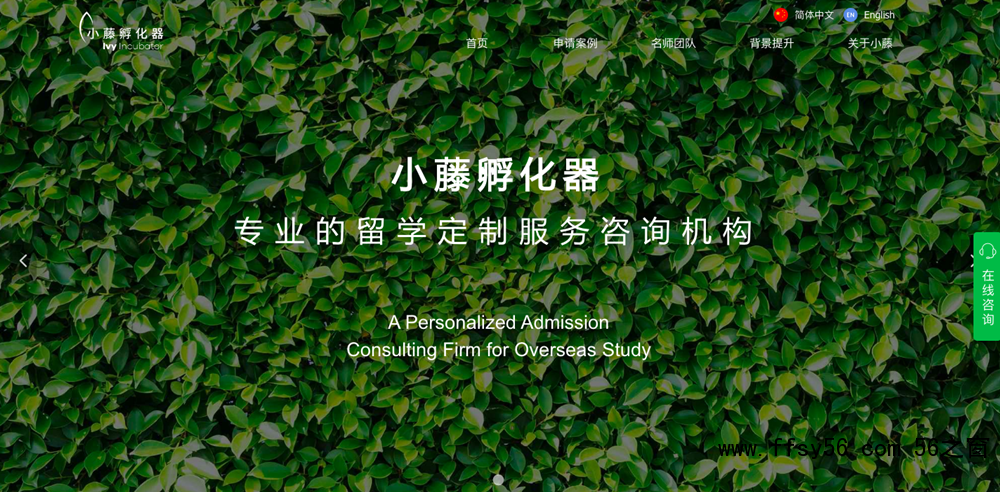 图为小藤孵化器搭建的网站