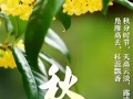 今日秋分，才是秋天真正的开始，这5句祝福记得发给在乎的人