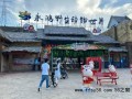活体投喂为何总有人叫好 血腥表演引争议【今日】