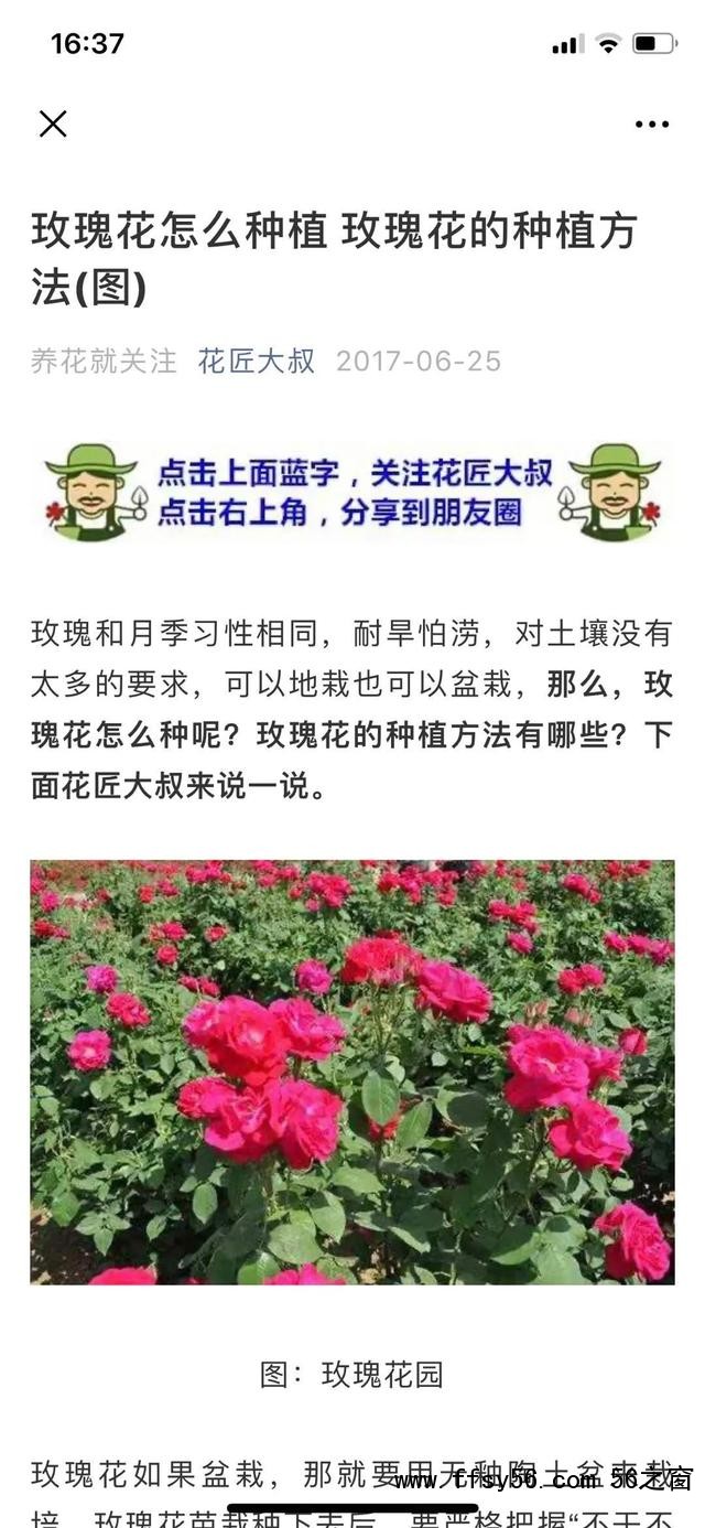 玩转微信SEO引流不断玩转微信SEO引流案例实操