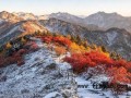 太白山惊现一山二季 秋雪同框奇观【今日】