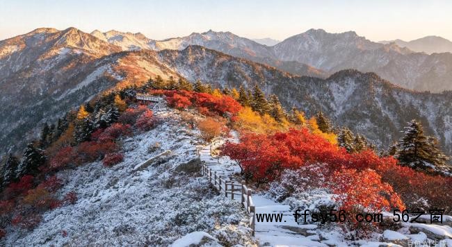 太白山惊现一山二季